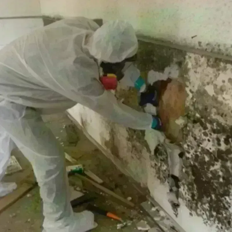 Mold Remediation and Removal in East Kingston, NH